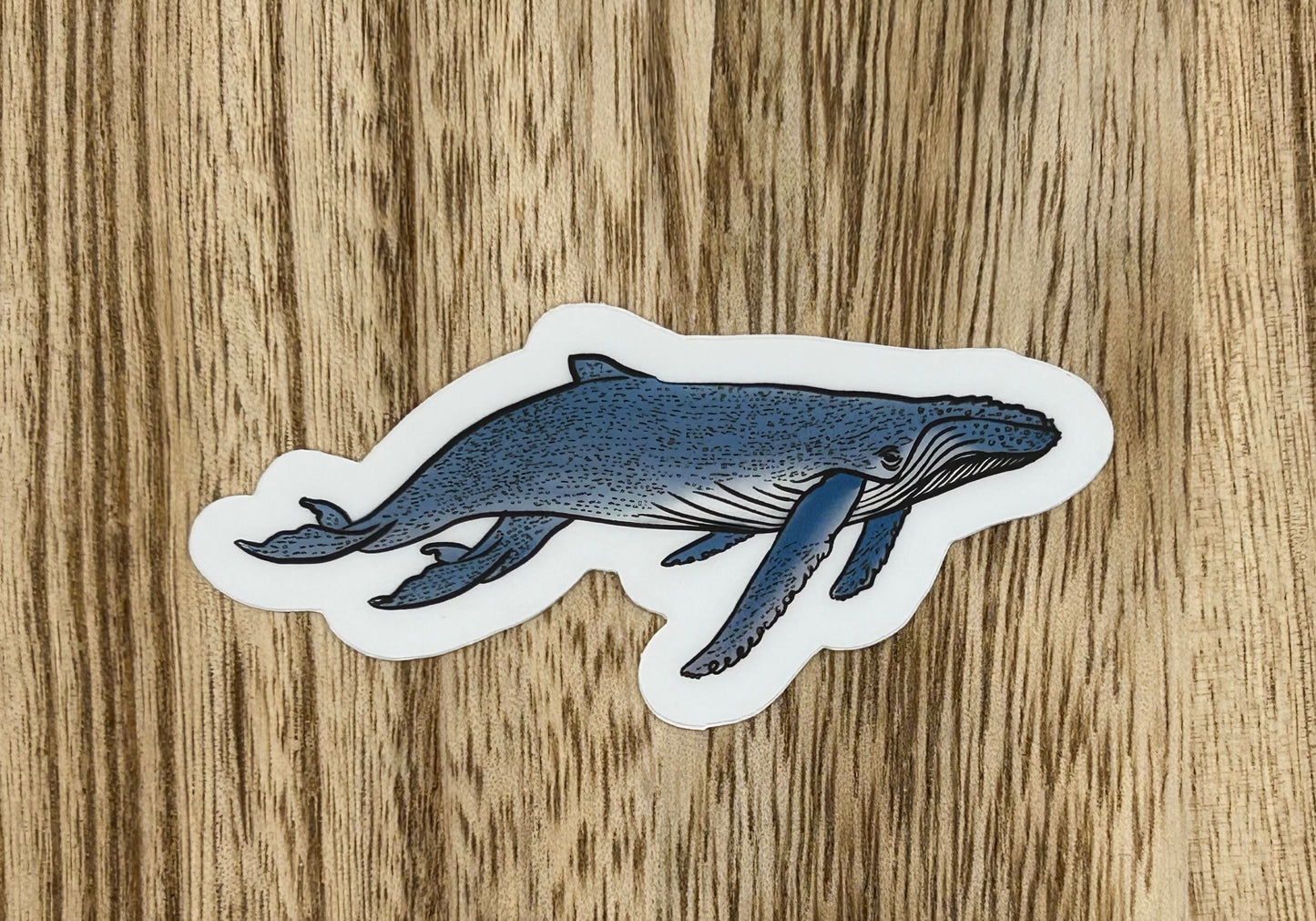 Blue Whale Sticker