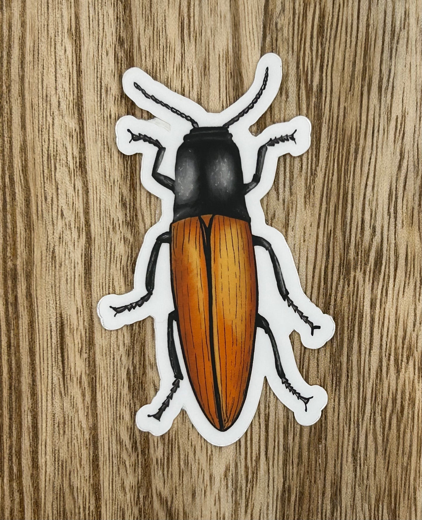 Brown Beetle Sticker