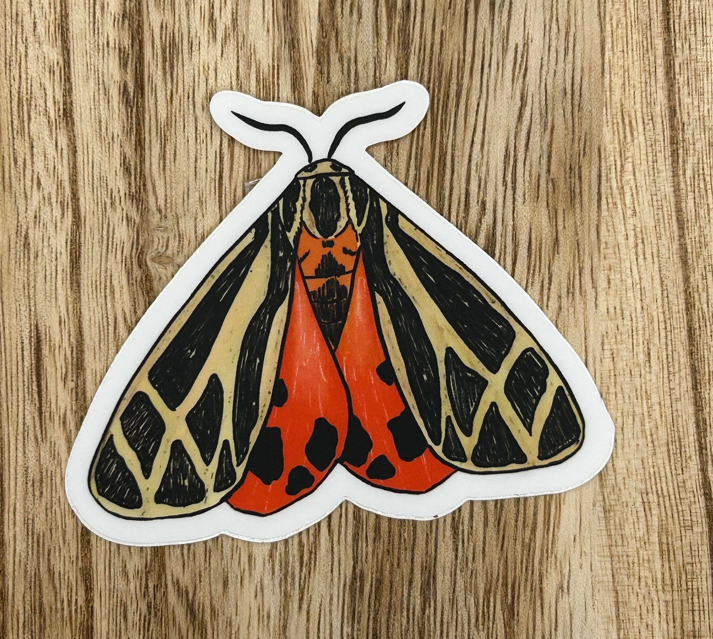 Moth Sticker