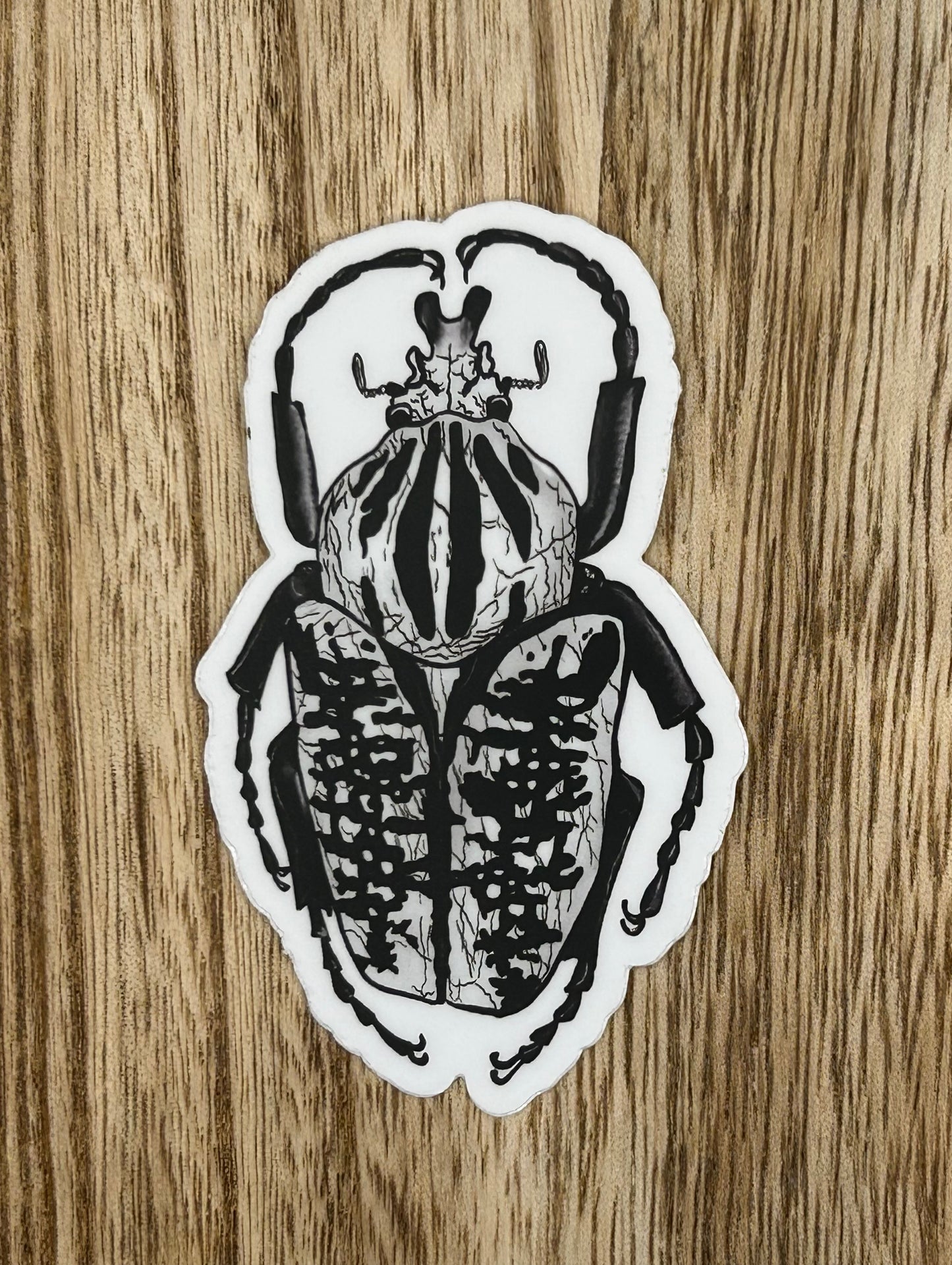 Black Beetle Sticker