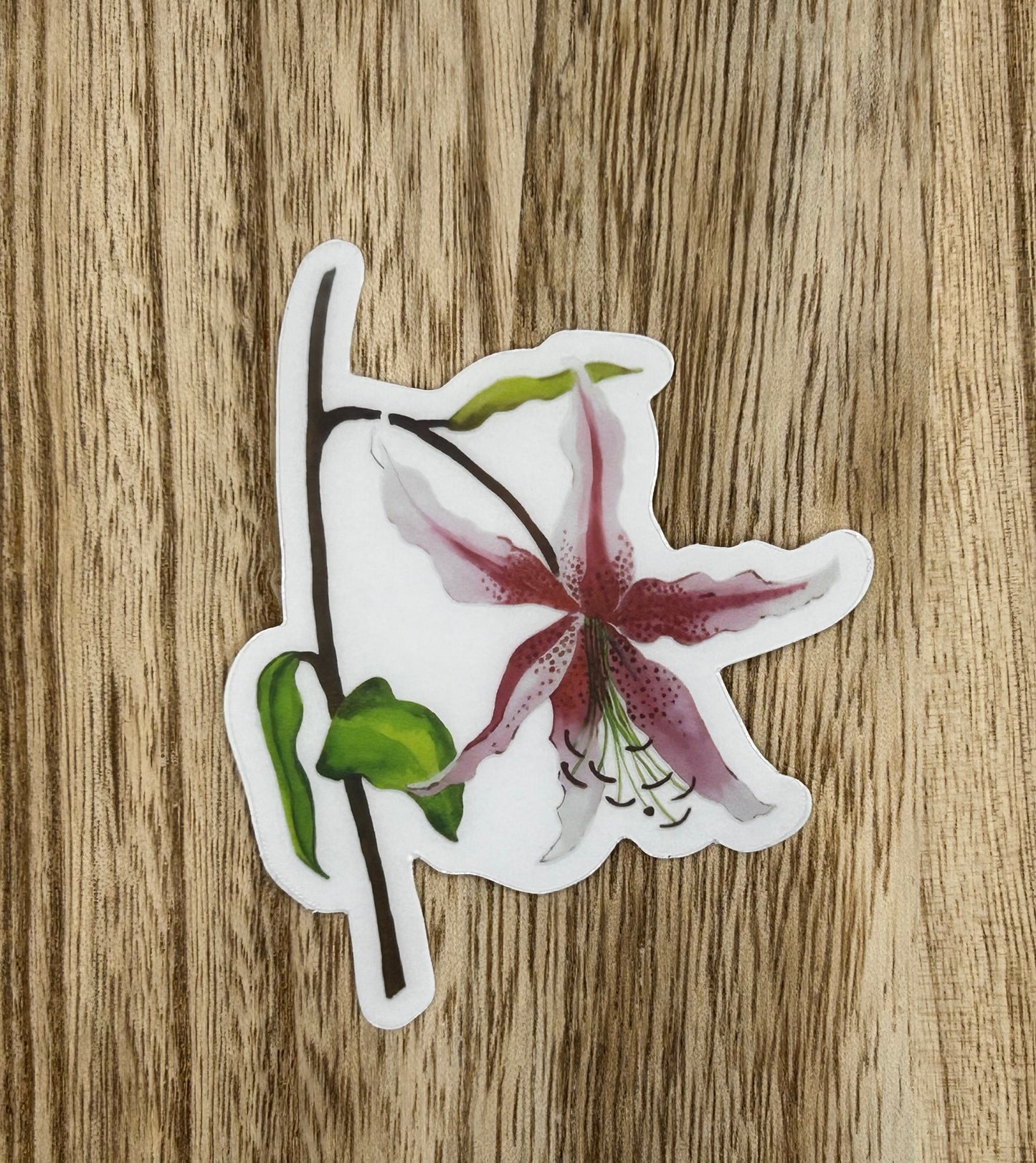 Lilly Sticker