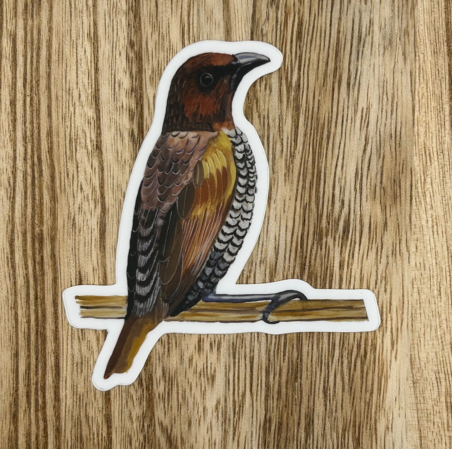 Birdwatching Sticker