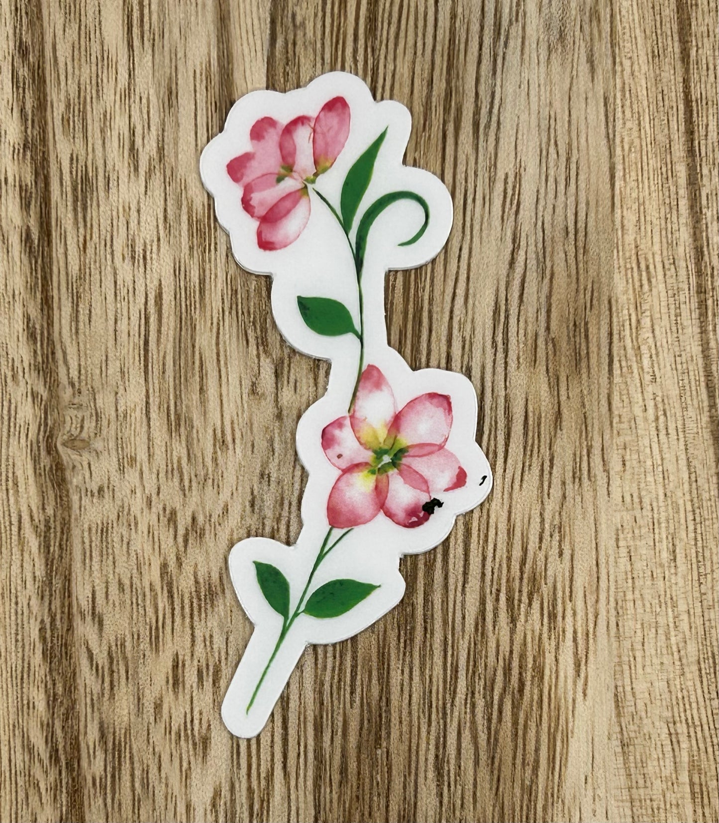 Dainty Sticker