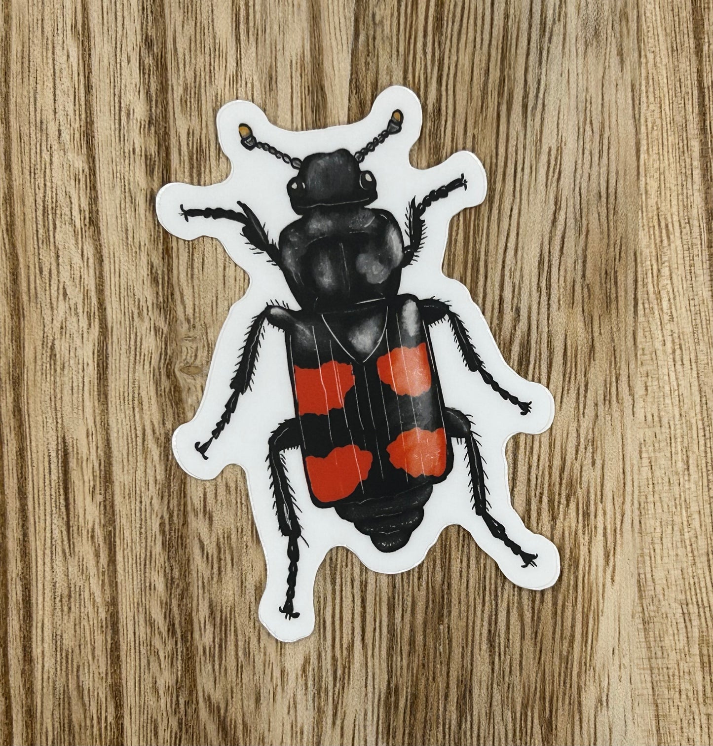 Red Beetle Sticker